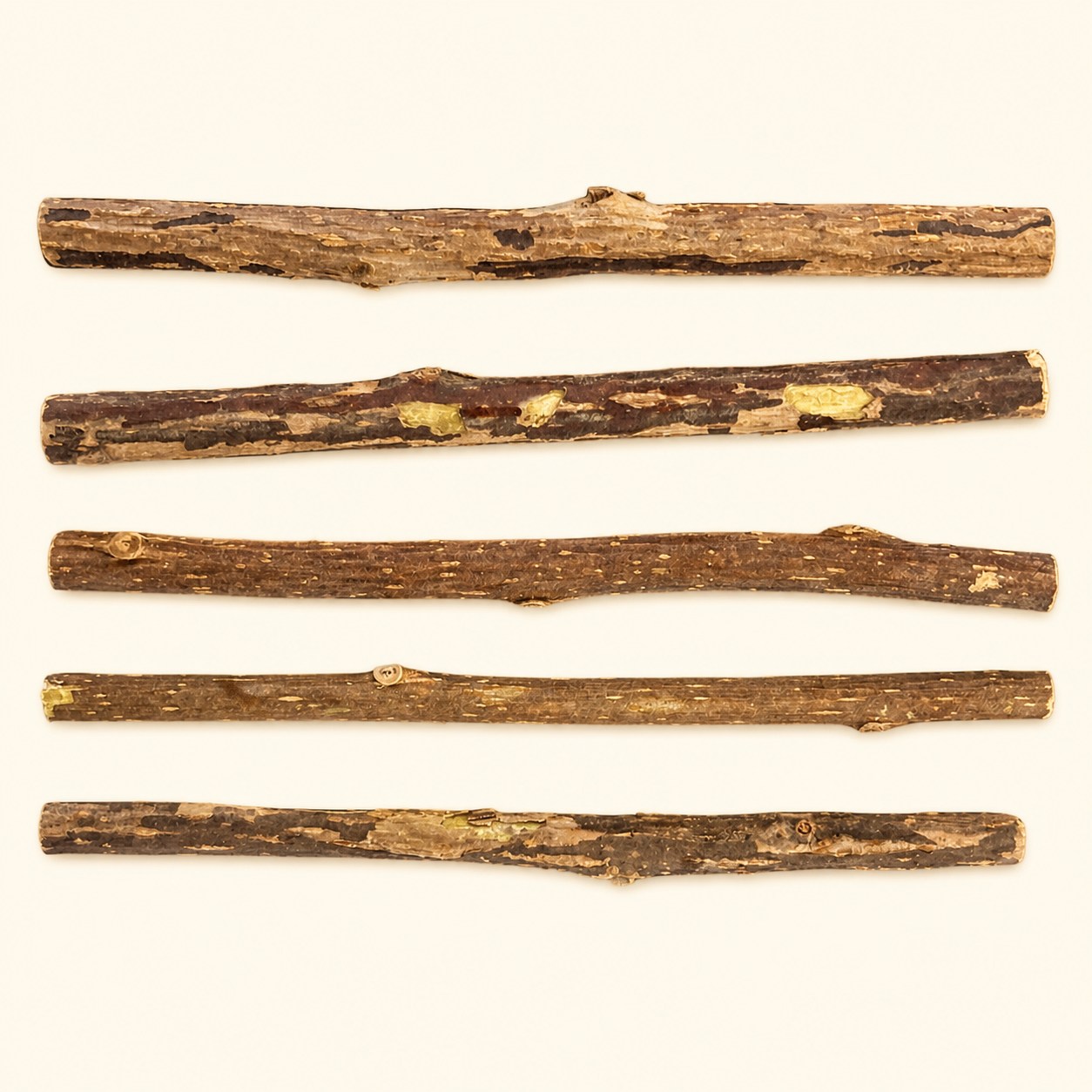 Natural silvervine sticks included in the Wild Sticks six-pack